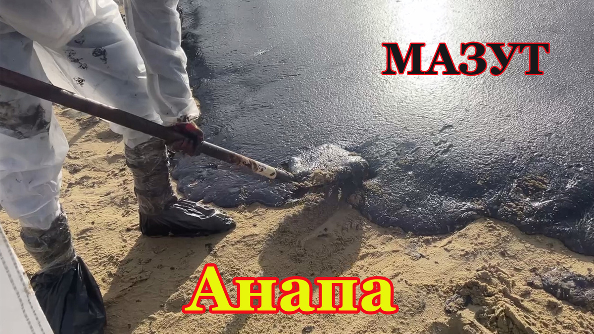 Волонтёры собирают мазут.