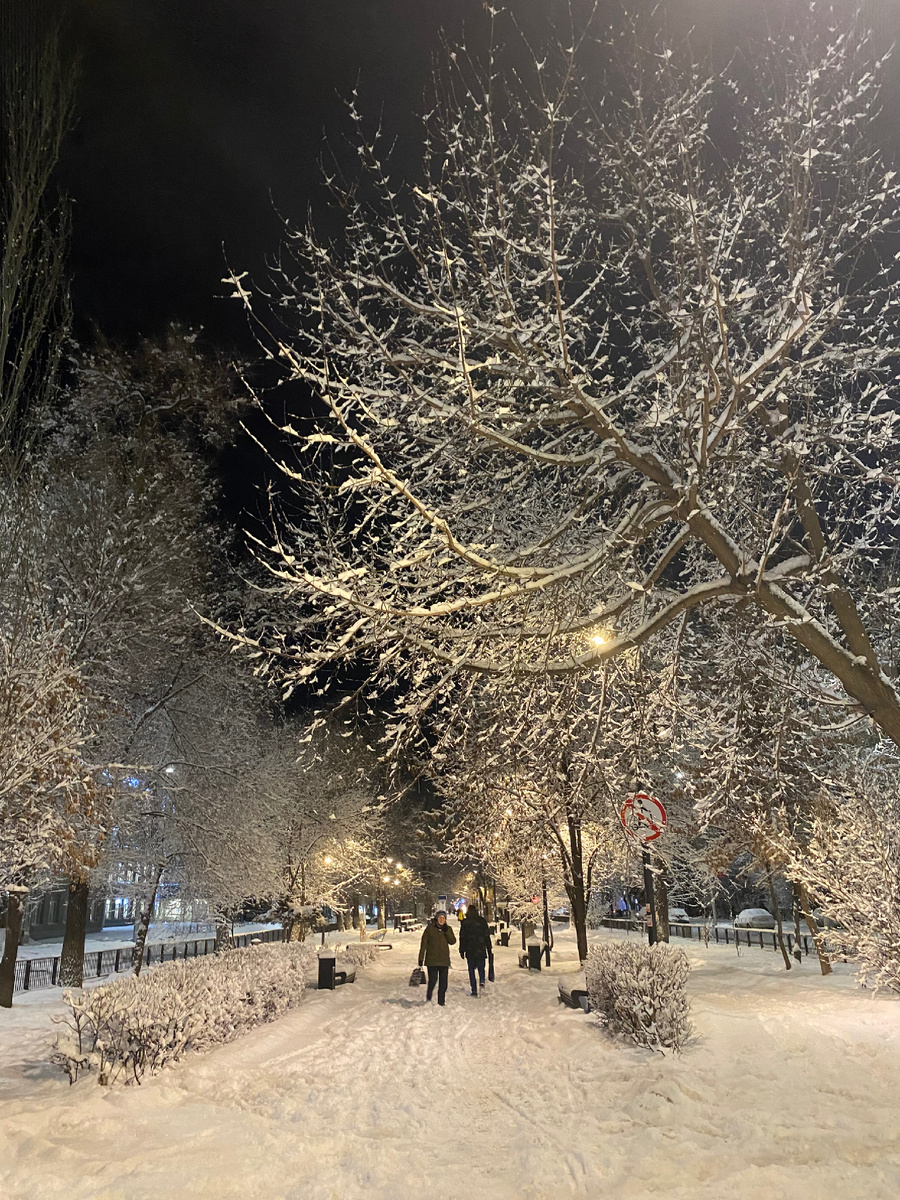 всегда идите вперёд и не жалейте о пройденном ❄️ 