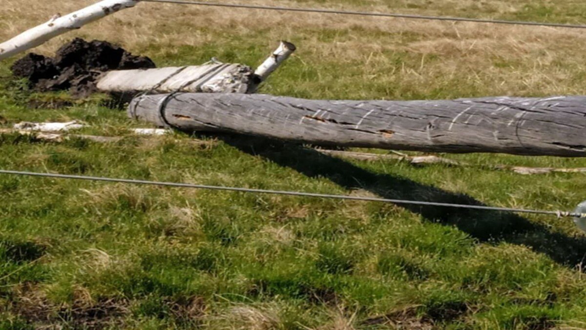    Фото: Пресс-служба прокуратуры Забайкалья