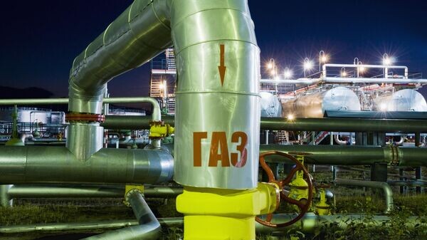    © Getty Images / Pro-syanov