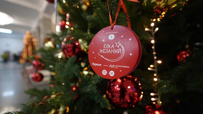    Фото: ИЗВЕСТИЯ/Павел Волков; 5-tv.ru