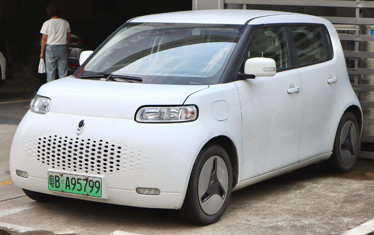 Белая Кошка (2019).