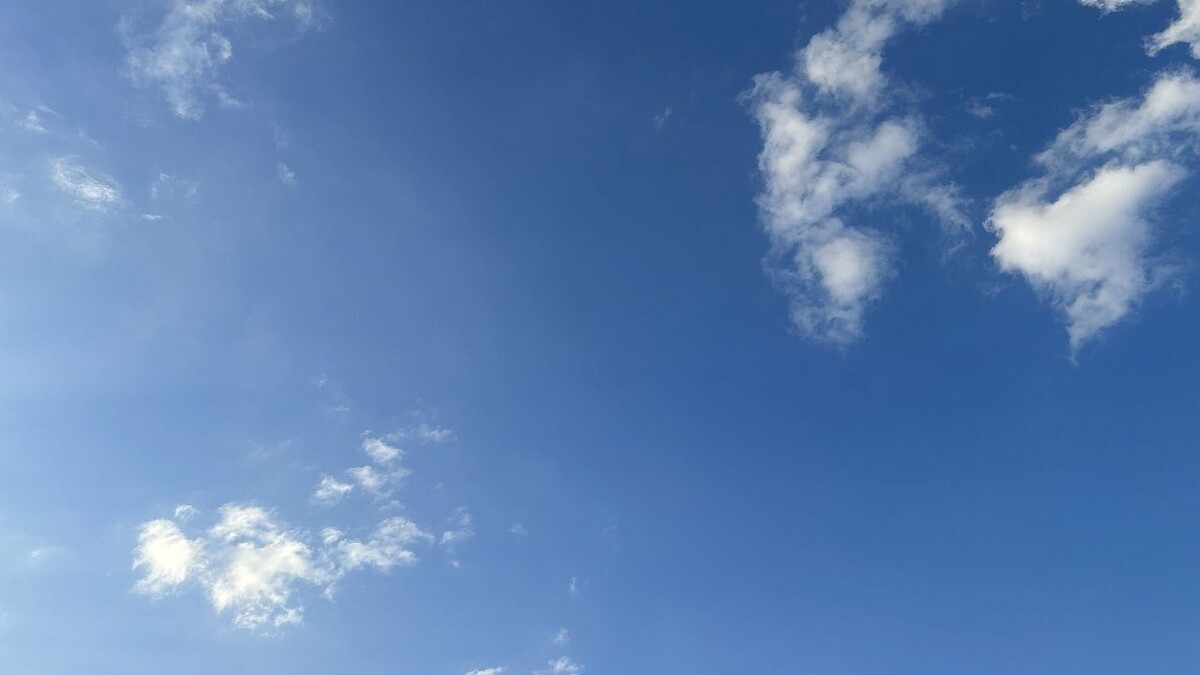    Фото: телеканал «Краснодар»