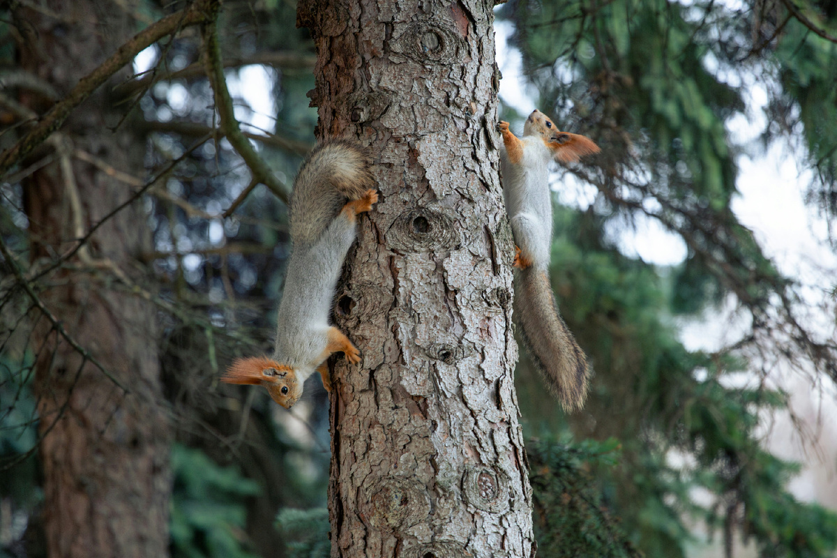 Картинка с бесплатного фотостока https://unsplash.com, автор Tatyana Rubleva