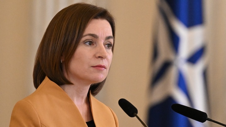    Фото: SOEREN STACHE/Globallookpress