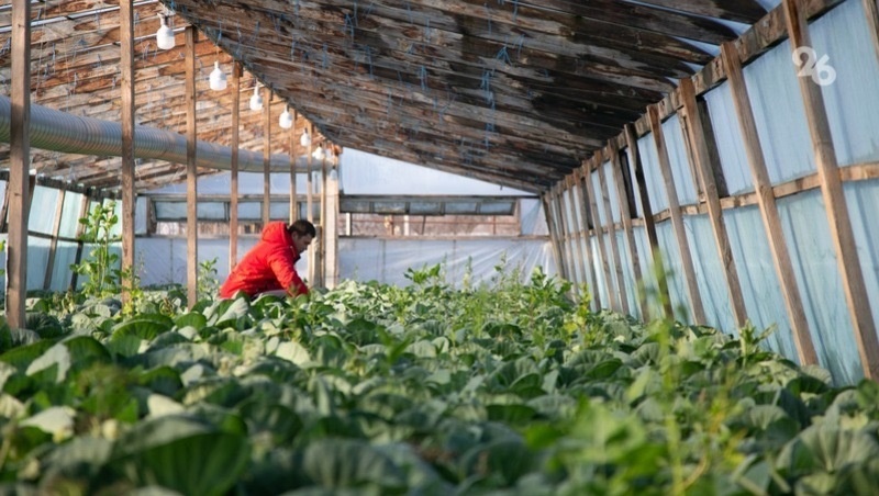      Фото: ИА «Победа26»