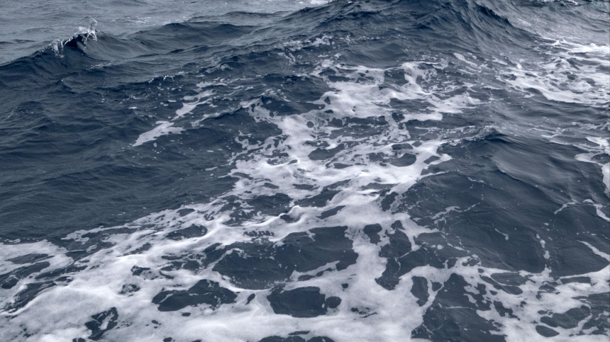    Фото: © РИА Новости/Иван Секретарев