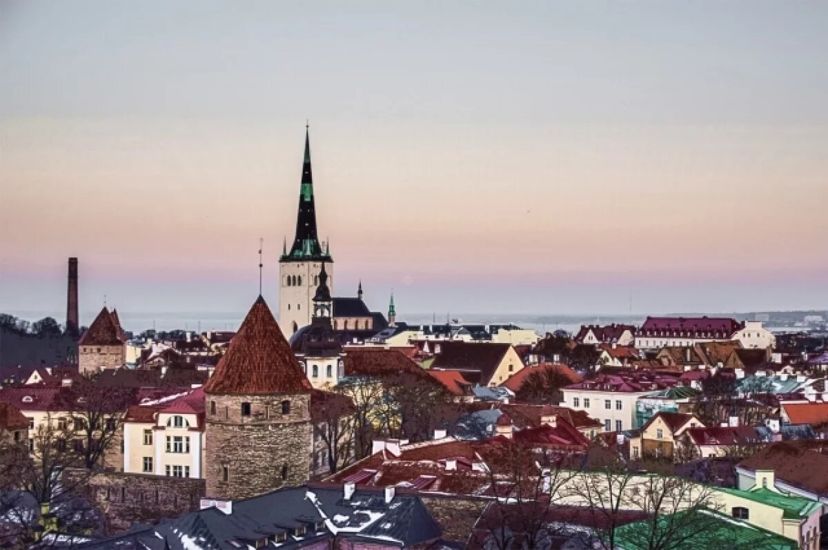    В МИД заявили, что Россия не закрывает границу с Эстонией