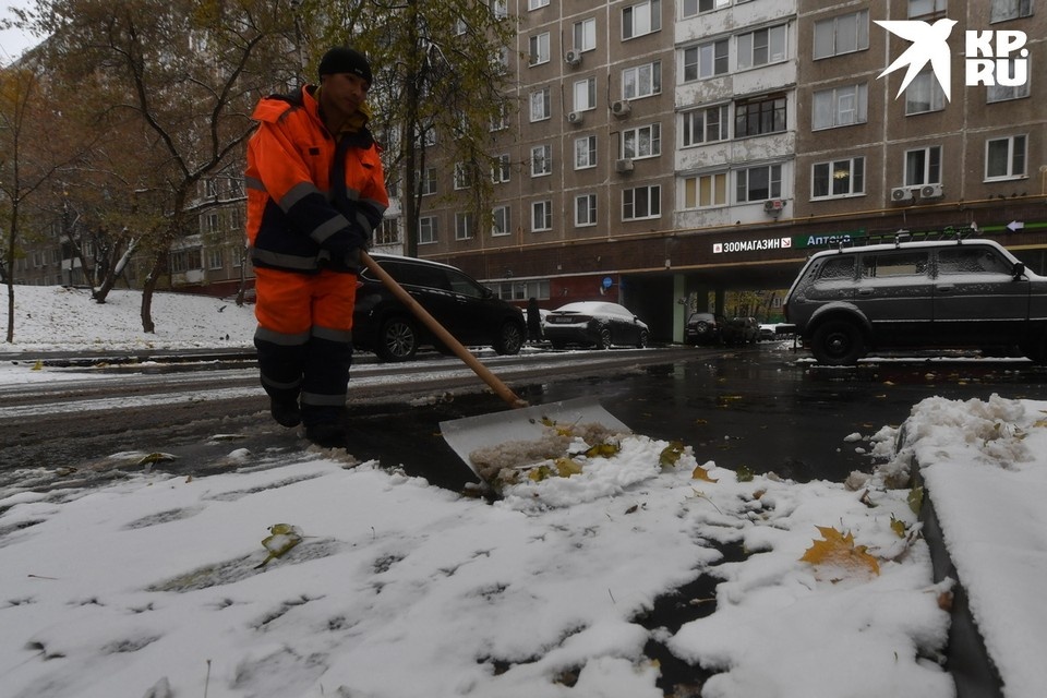    Дворников и автослесарей больше всего не хватает в Рязанской области