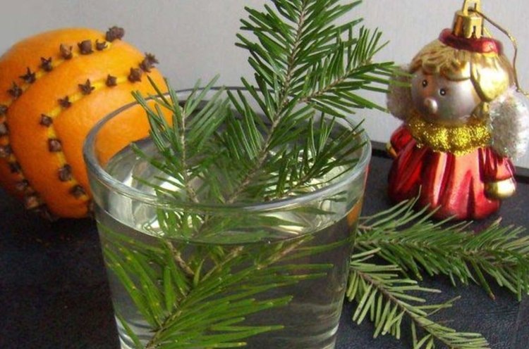    Сколько простоит в вазе букет из веток елки на Новый год
