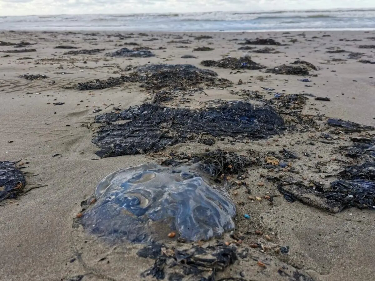     © "Интерфакс". Дмитрий Юхнович