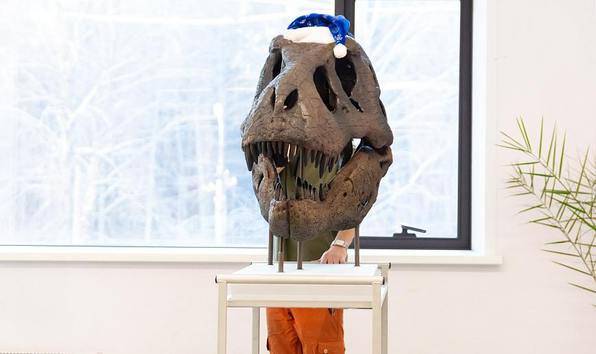 Фото: Инесса Бахарева, nsu.ru ﻿