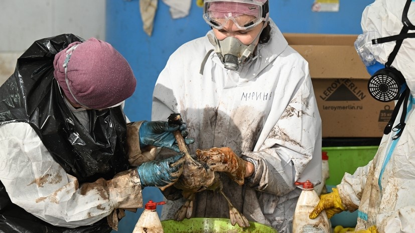   РИА Новости Алексей Майшев