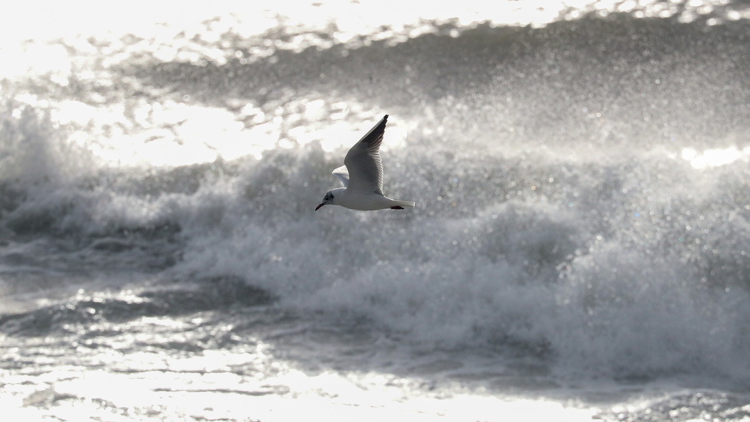    Petrov Sergey/news.ru/Globallookpress