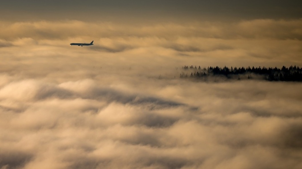    Фото: DARRYL DYCK/GLOBALLOOKPRESS