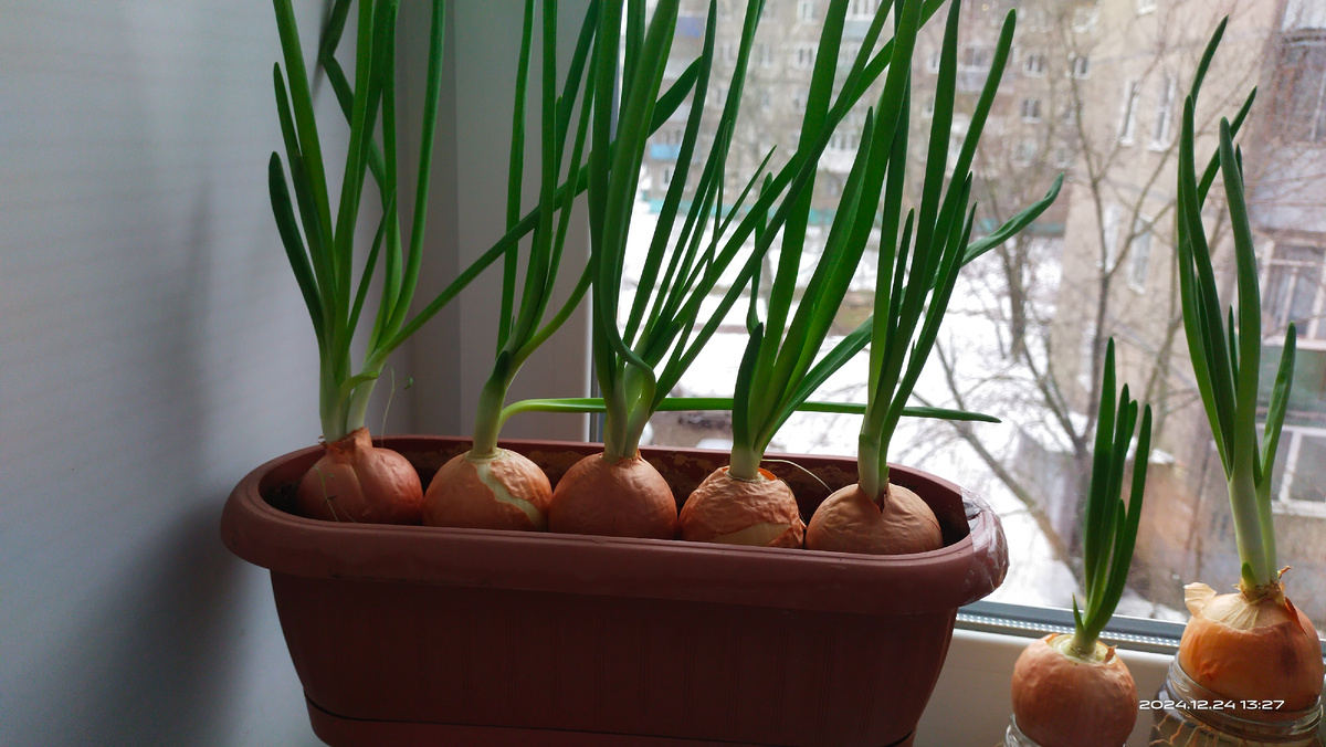 Фото автора. 