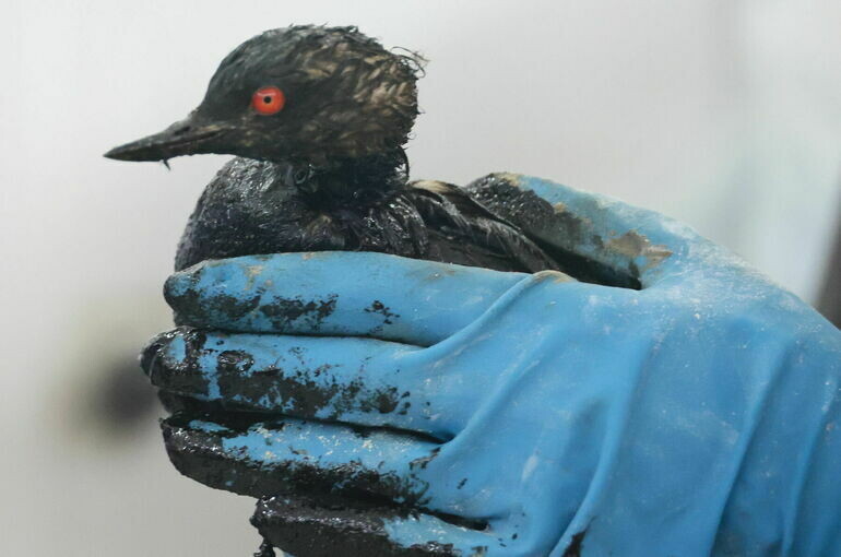   Сергей Мальгавко/ТАСС