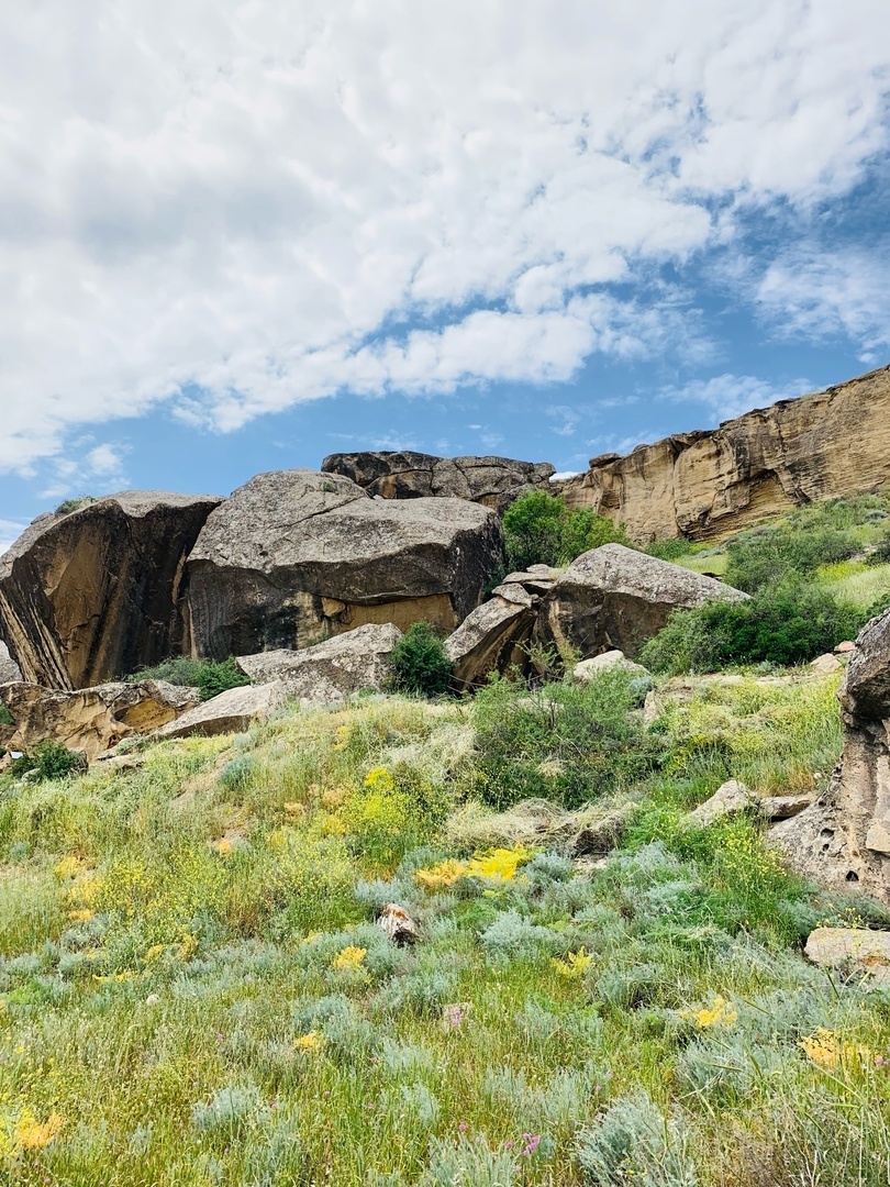 Камни и полевые цветы среди них. Романтично!