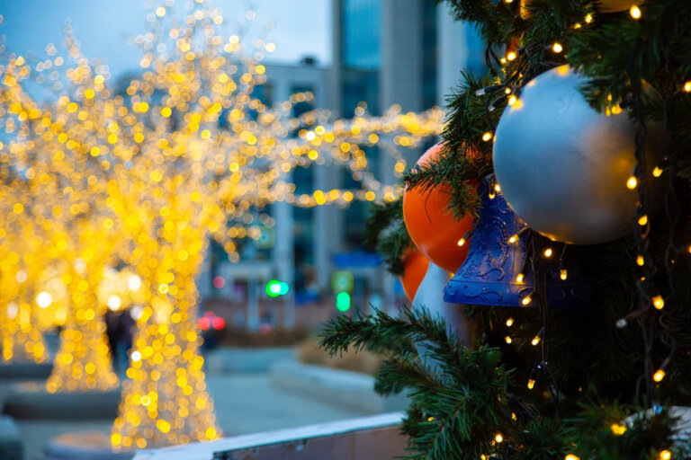    Фото: Общественная Служба Новостей Софья Чулкова