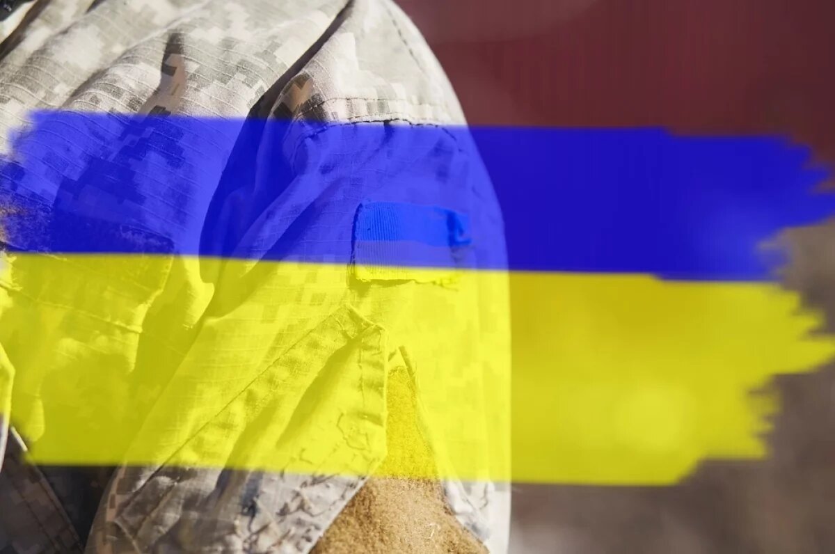    Подвозят мясо.