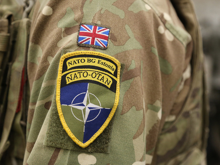 Фото: Alexander Welscher/dpa/Global Look Press