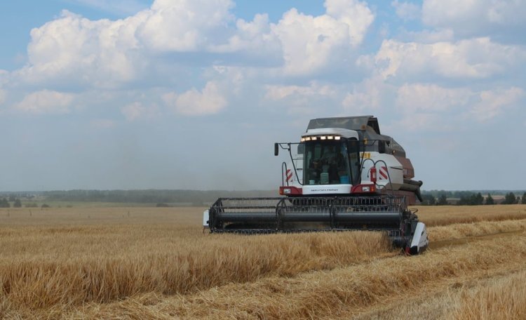    Зерновые хлопья Подмосковья в растущем тренде