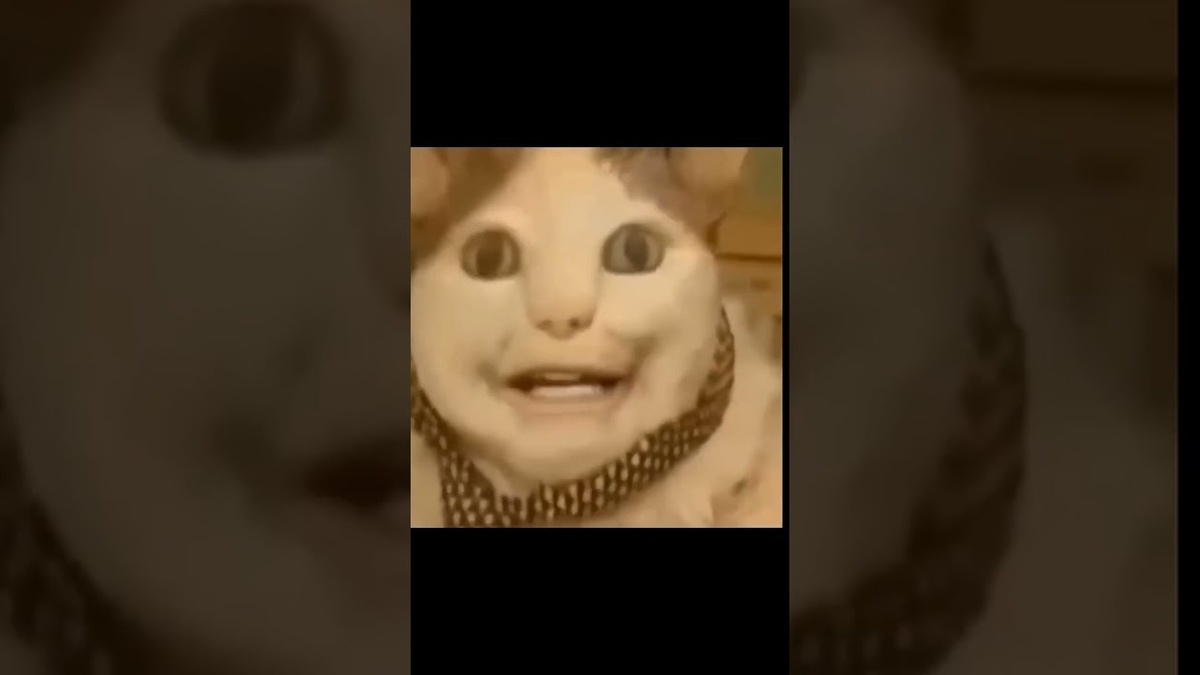 Включи бу испугался не бойся