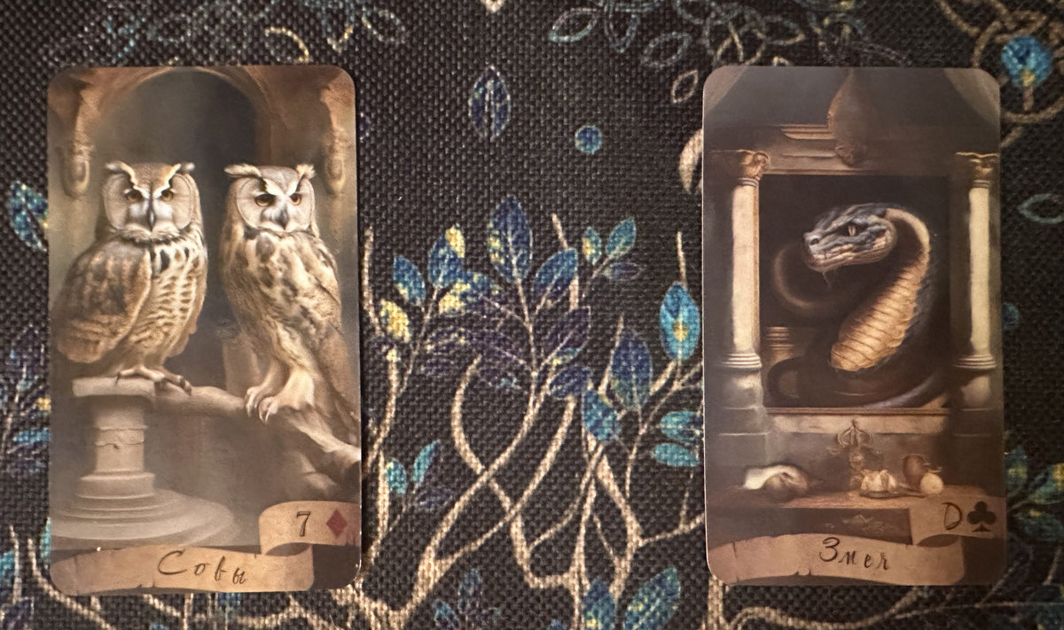 Мысли партнёров друг о друге