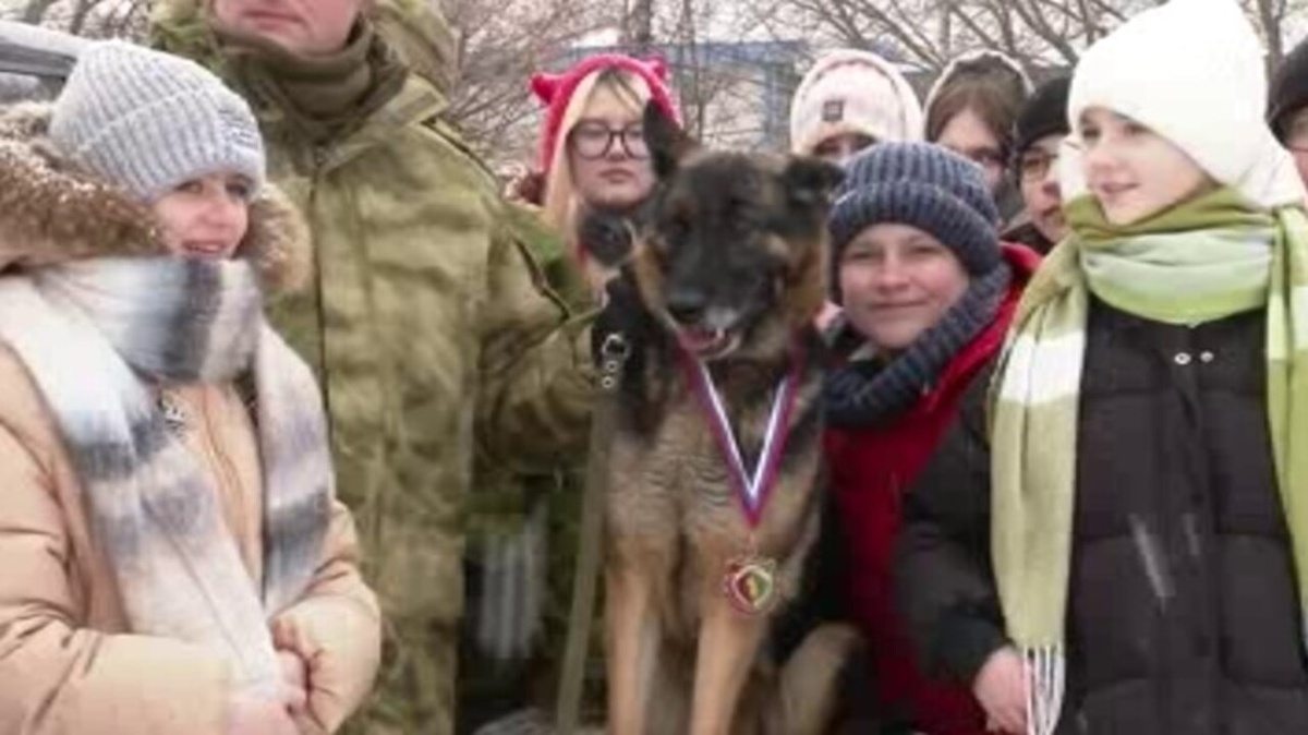    Четвероногому бойцу Курской Росгвардии вручили знак за отличие в службе третьей степени