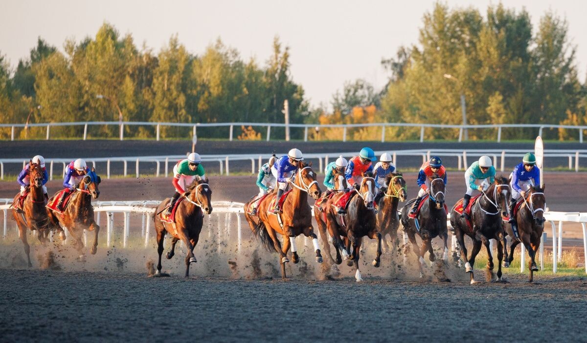     Казанский ипподром. Источник: vk.com Автор фото: МКСК «Казань»
