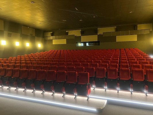    Фото: Telegram/Сочи Официальный