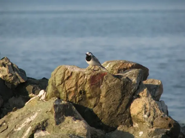 Мыс Колка. BaltNews.lv