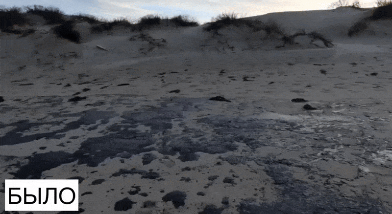    Волонтёры делают всё, что в их силах. Видео: ТГ-канал "Новости Краснодара"