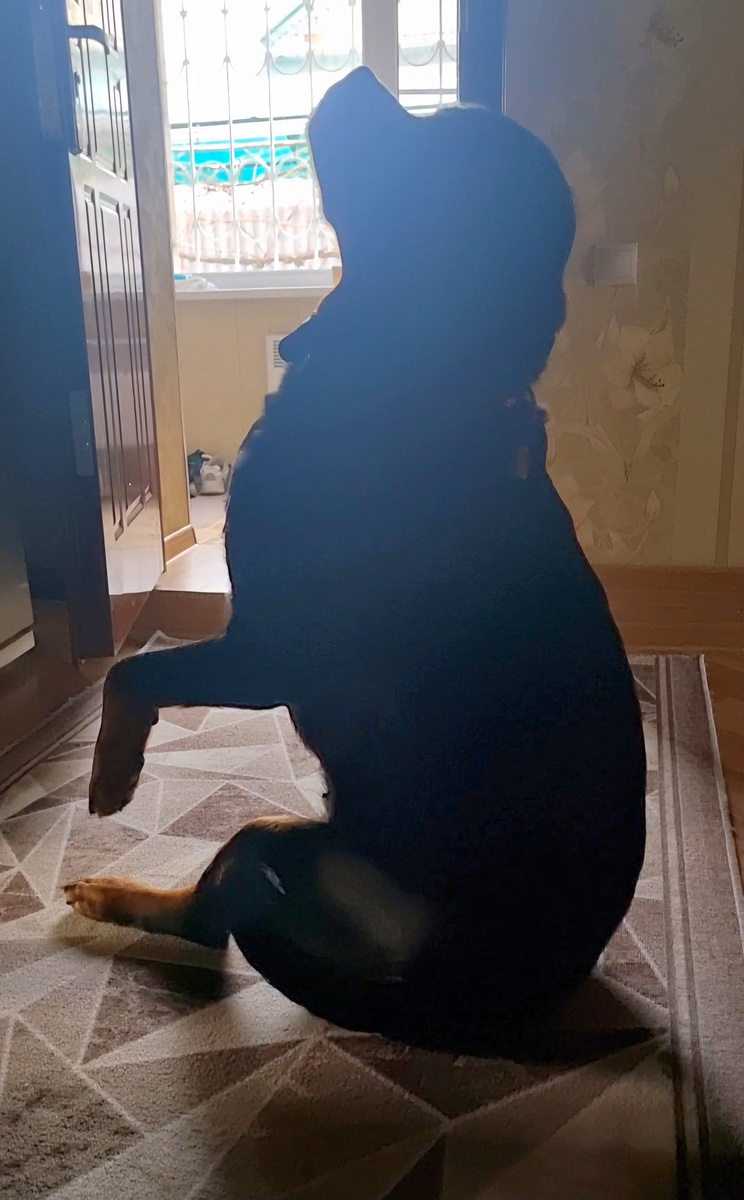 Когда лень сделать полноценную зайку, Берта делает лайт версию. Попа на полу, а лапы тянет.