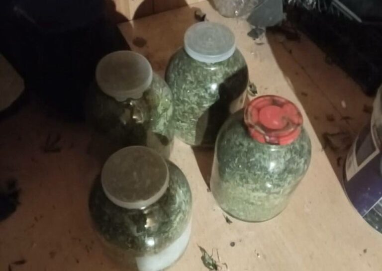    В Оренбурге у наркоагронома изъяли свыше трёх килограммов конопли и марихуаны Андрей Севостьянов