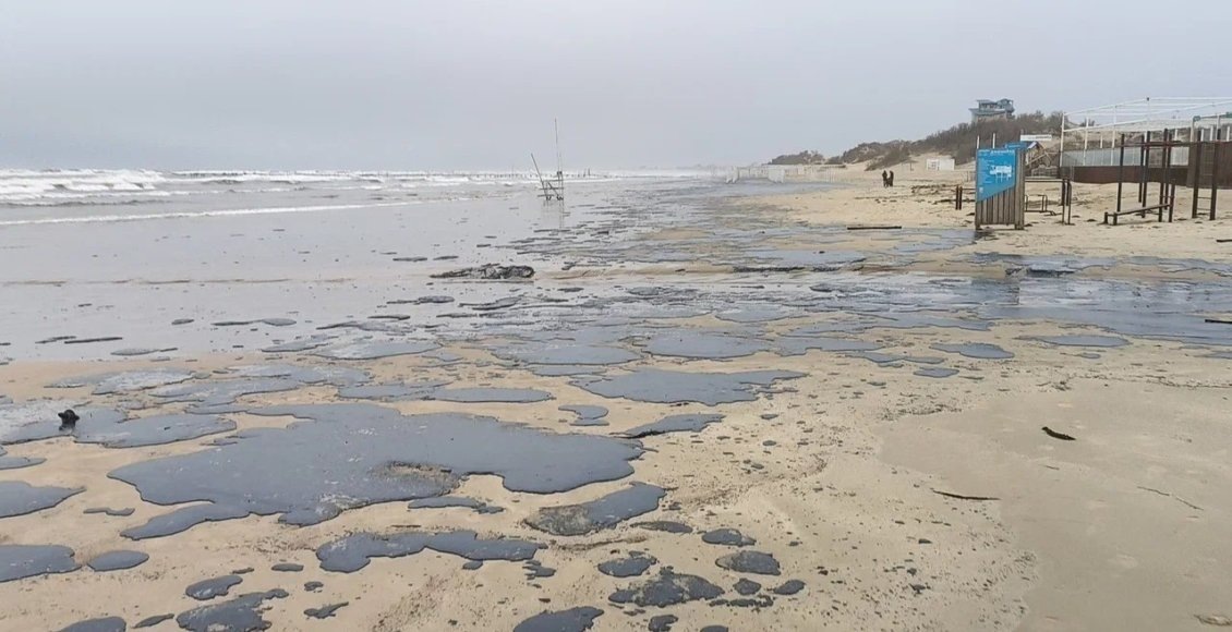    Фото: rossaprimavera.ru