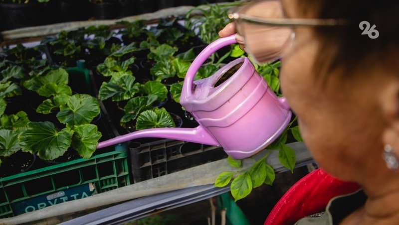      Фото: ИА «Победа26»