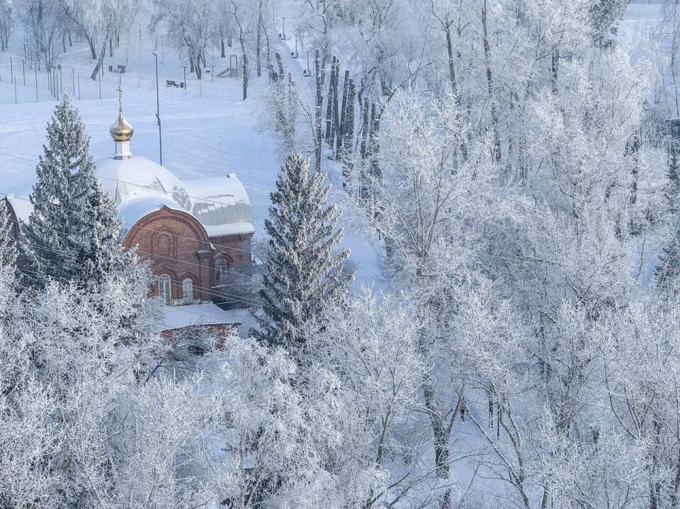    Барнаул. Зима. Изморозь. Источник: Предоставлено "Толку"
