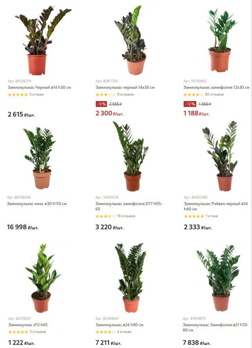 Ассортимент  разнообразие хороше