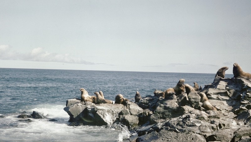      Фото: Константин Тарусов / / ТАСС / Фотобанк ТАСС