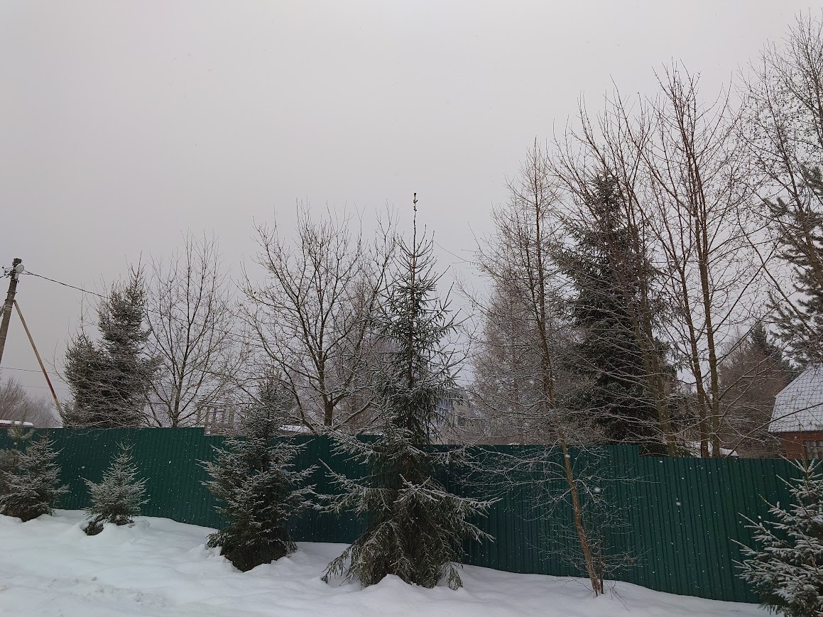 А на улице сегодня снежок и красота