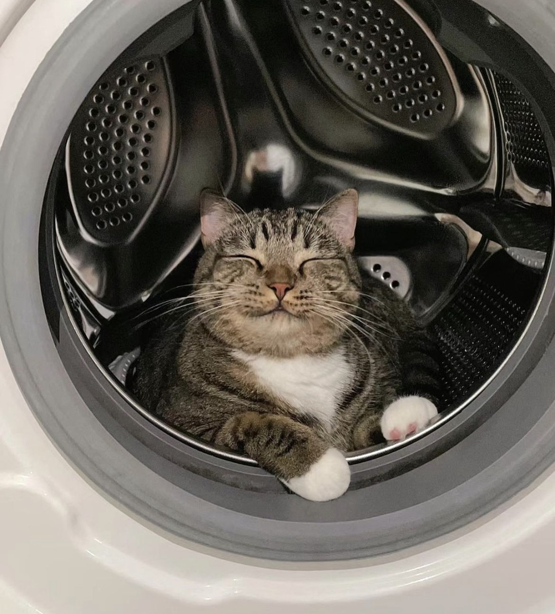 Яндекс картинки