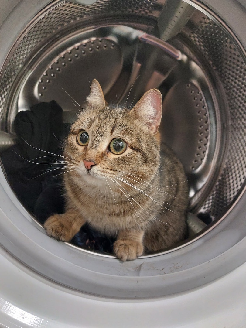 Яндекс картинки