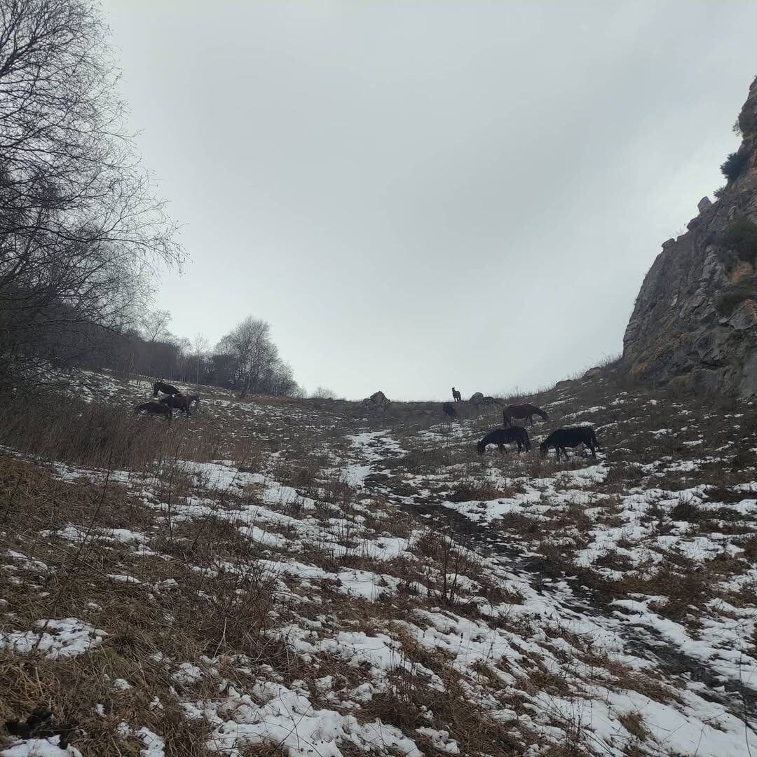 Тот самый подъём "с лошадями"