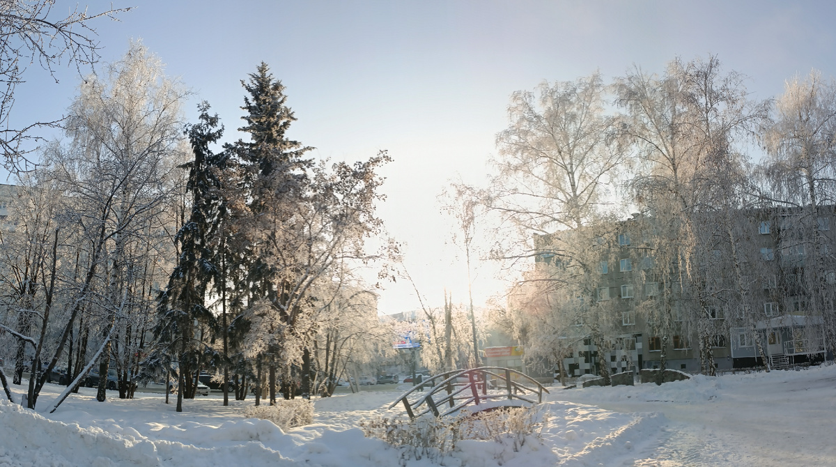 А у нас сегодня иней. Вот такая красота на деревьях. Теперь несколько дней буду пытать вас такими вот фотками. Где-то на просторах моего города. Фотография автора, декабрь 2024 года. 