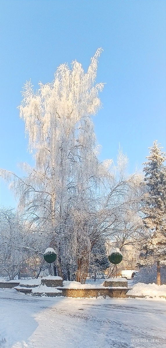 Где-то на просторах моего города. Фотография автора, декабрь 2024 года. 