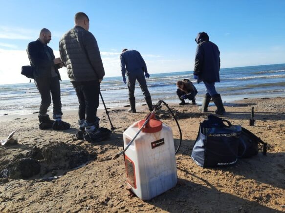    Фото: Екатерина Пономарева / Югополис