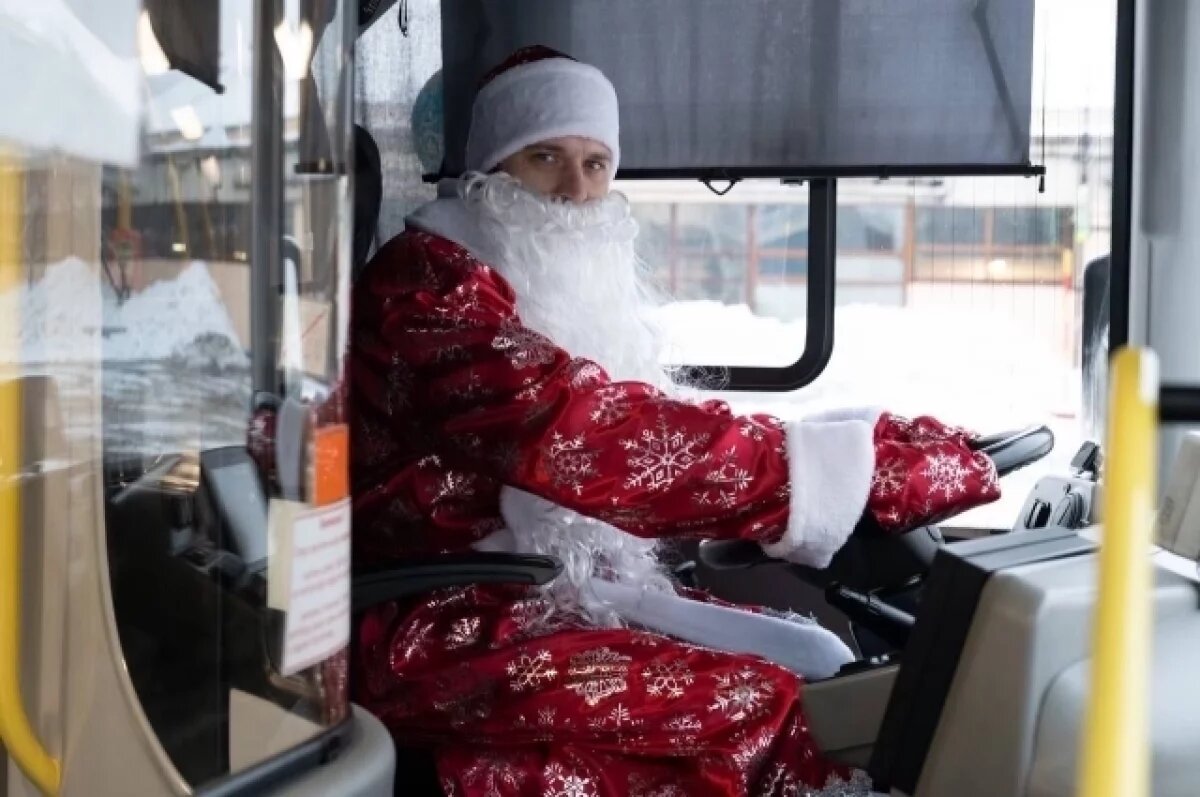    В Петербурге на городских маршрутах работают необычные автобусы