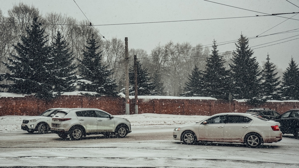 Светлана Мулыкина📷
