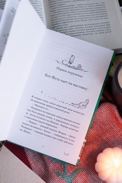 Фото https://www.mann-ivanov-ferber.ru/catalog/product/ryzii-kot-futa-iz-kafe-mezdu-mirami/?ysclid=m52i666f1x826856139